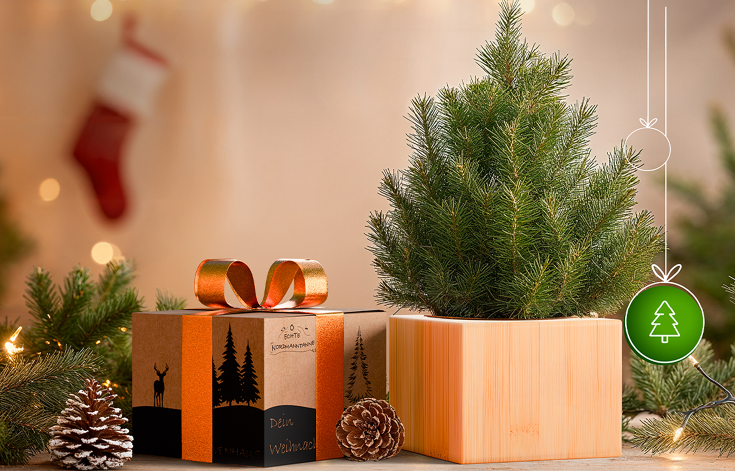 Weihnachstbaum 2031
